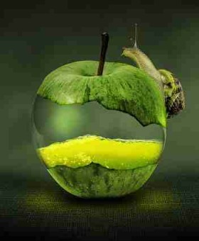 快手成人版短视频拍摄设备指南 - 深度剖析，快手成年板视频