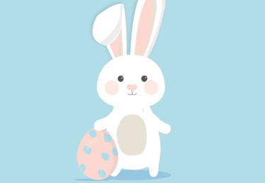 深夜更新：黑料网披露选手后台背景，数万网友围观