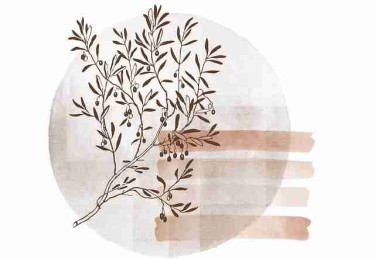 快手成人版达人合作与联动策略-避坑指南