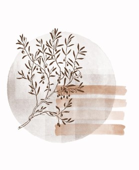 热搜霸榜：黑料网爆出偶像恋情，多方当事人暂未回应