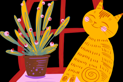 精彩瞬间集锦-夺冠秘籍：每日大赛选手经验分享