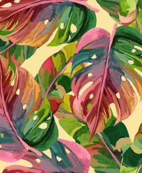 快手成人版短视频数据增长秘诀 - 高效提升，快手成年板视频