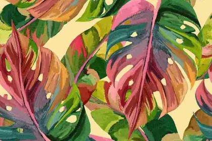 快手成人版短视频数据增长秘诀 - 高效提升，快手成年板视频