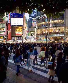 海角官网社区互动玩法指南-互动攻略