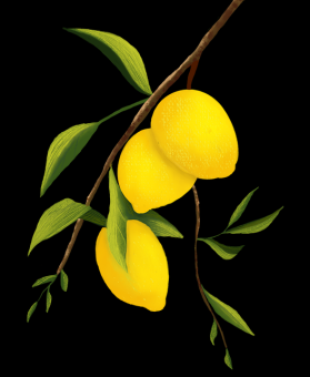 高能预警：黑料网流出KOL私密档案，引发粉丝集体脱粉