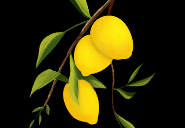 高能预警：黑料网流出KOL私密档案，引发粉丝集体脱粉