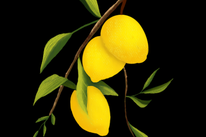 热度提升方案 - 国产自产 1区2区 c直播互动提升技巧，国产区_1