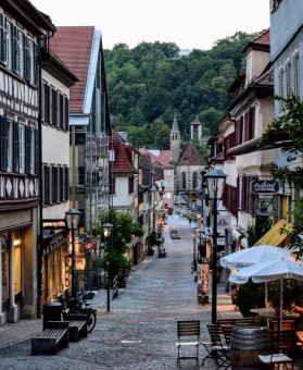 神秘曝光：蘑菇视频模特翻车现场，平台算法引争议