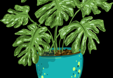 海角官网私密社群玩法揭秘-热度飙升案例