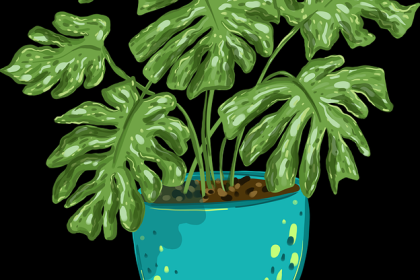 海角官网私密社群玩法揭秘-热度飙升案例