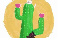 全程回顾：黑料网揭露选秀黑幕，多人账号被封