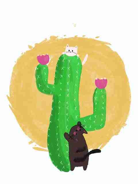 全程回顾：黑料网揭露选秀黑幕，多人账号被封