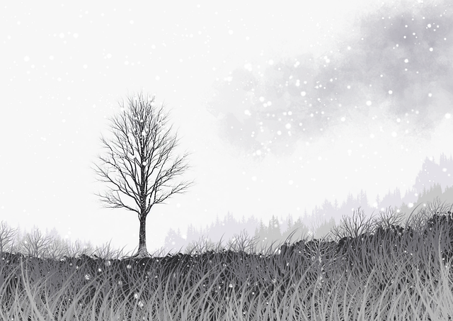 深度解析：91网突发内幕，成焦点话题