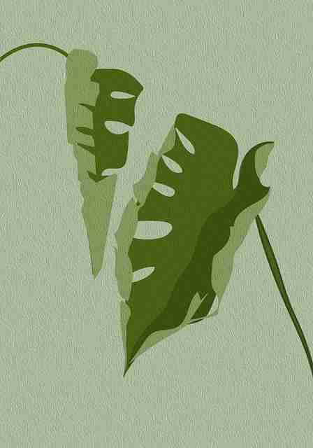 劲爆内容：黑料网公开封杀名单，业内大V亲自下场