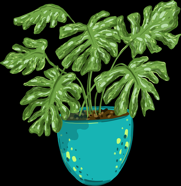 欧美一区二区三区影片热度榜发布-短剧合集精选