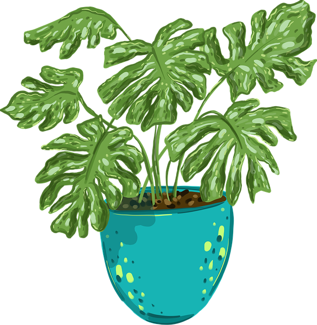 欧美一区二区三区影视分类导航-流畅播放攻略