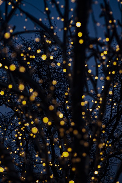 运营避坑手册 - 国产自产 1区2区 c短视频SEO优化方案，国产区_1