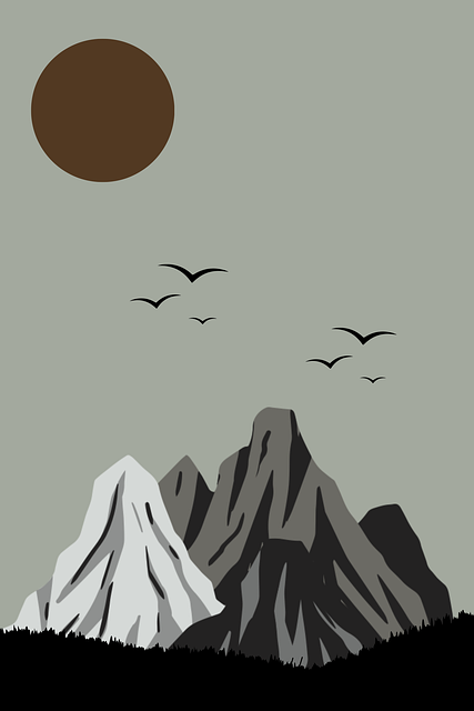 达人成长路线｜国产自产 1区2区 c社交推广运营攻略，国产区_1