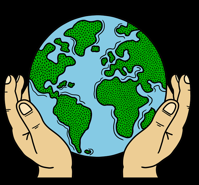 海角官网达人扶持计划解析｜平台规则解读，海角海鲜料理旗舰店怎么样